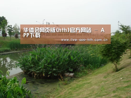 案例展示四(图1)