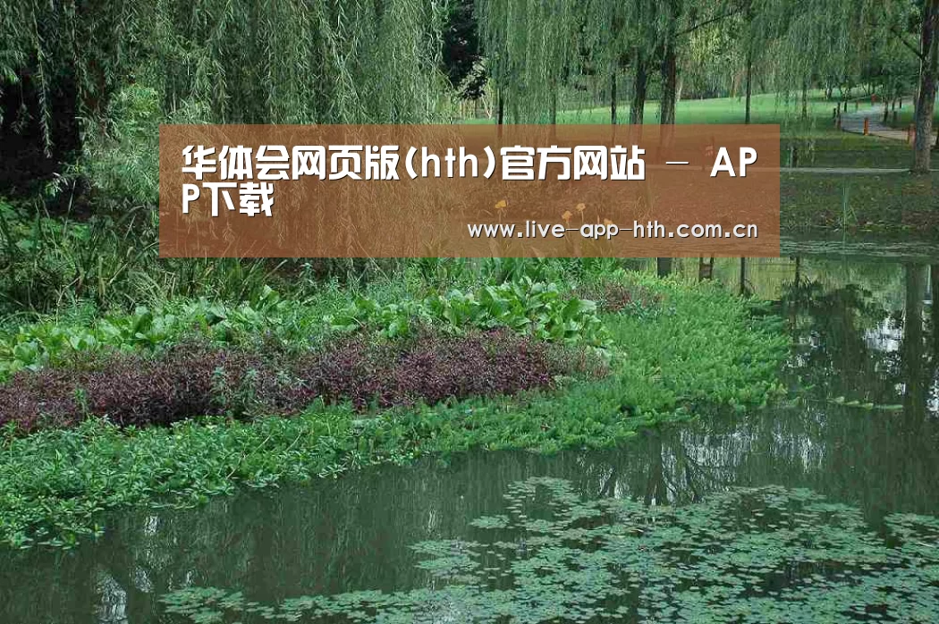 案例展示一(图1)