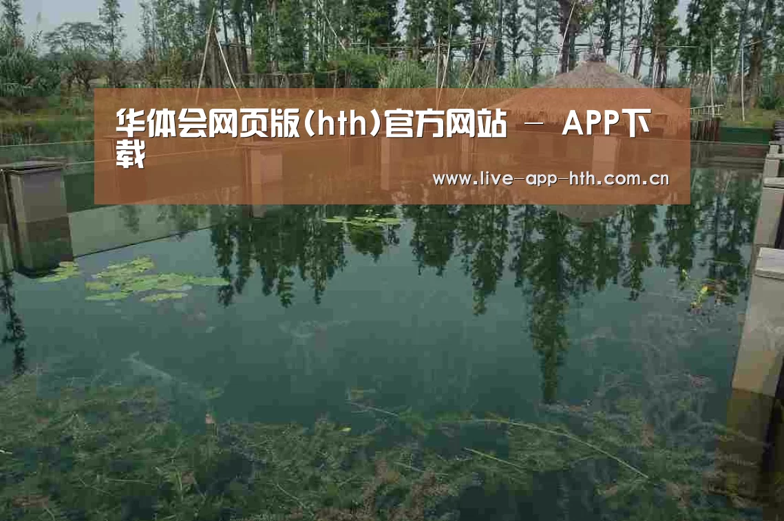 案例展示二