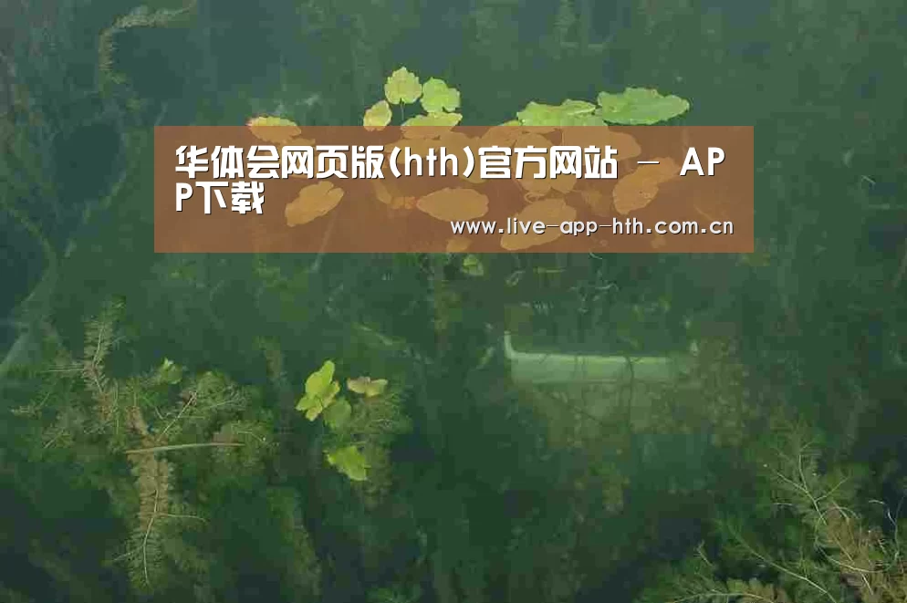 案例展示三