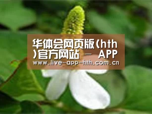产品名称三