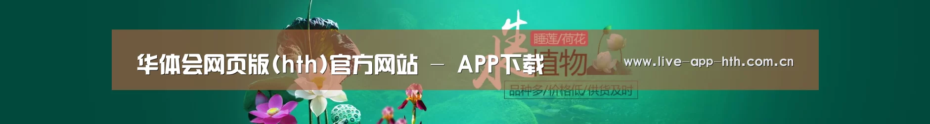 鲜花水草花卉网站模板