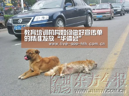 华体会入口