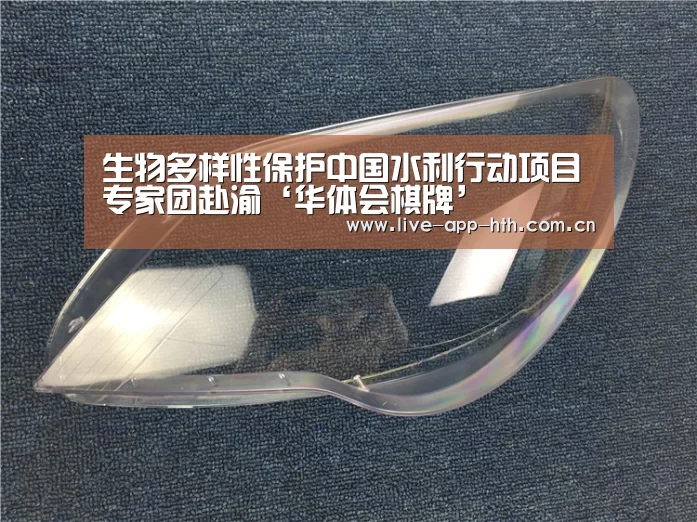 华体会