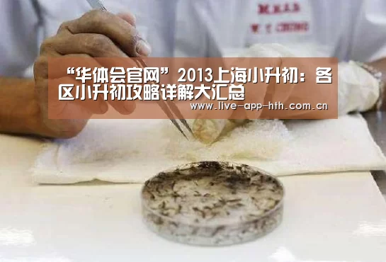 华体会官网