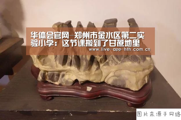 华体会官网-郑州市金水区第二实验小学:这节课搬到了甘蔗地里(图2) 华体会