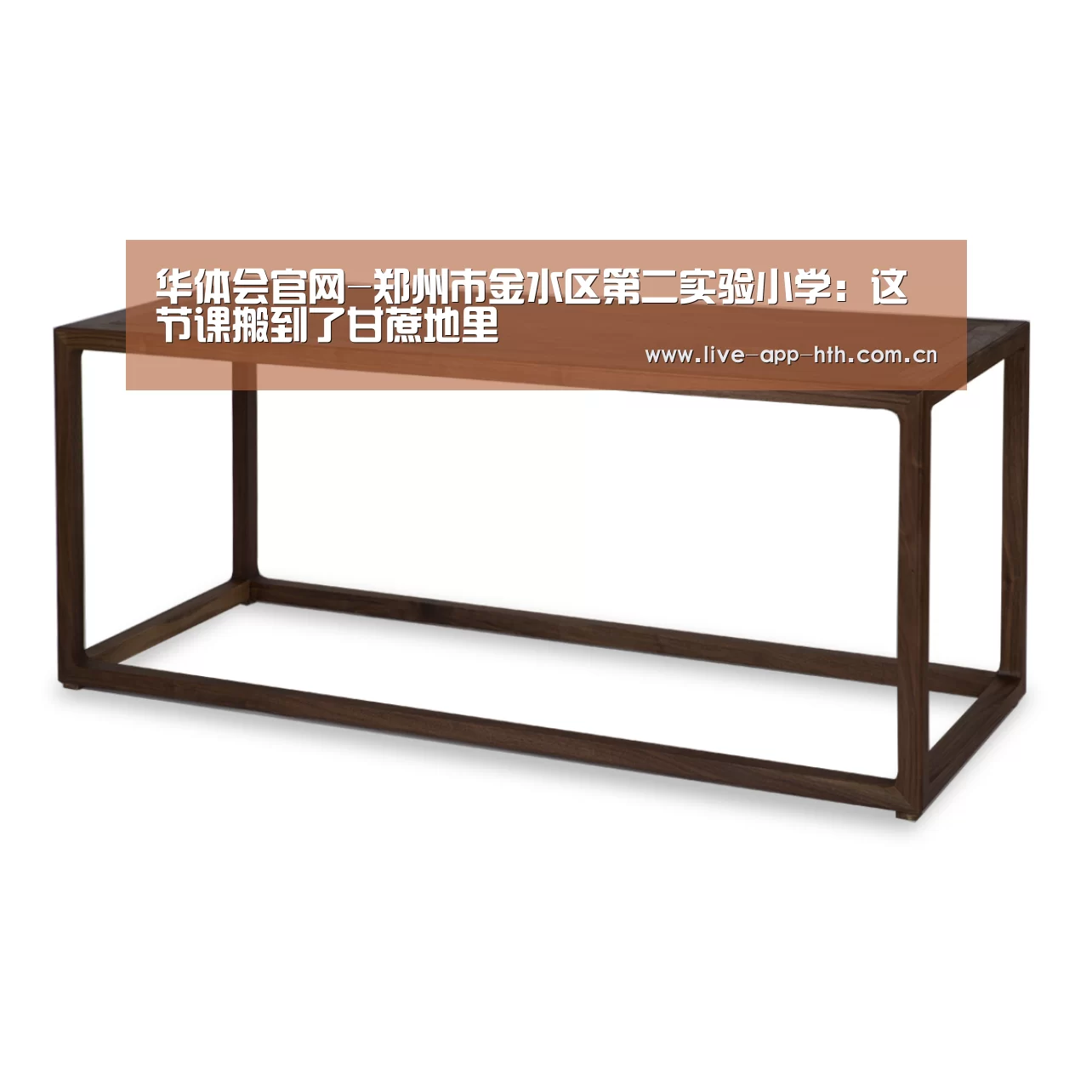 华体会官网-郑州市金水区第二实验小学:这节课搬到了甘蔗地里(图1) 华体会棋牌