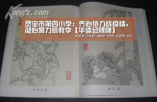 华体会