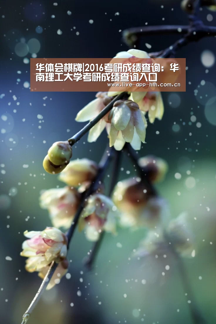 华体会