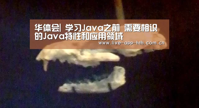 华体会|
学习Java之前 需要相识的Java特性和应用领域