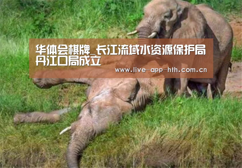 华体会棋牌_长江流域水资源保护局丹江口局成立(图3) 华体会入口