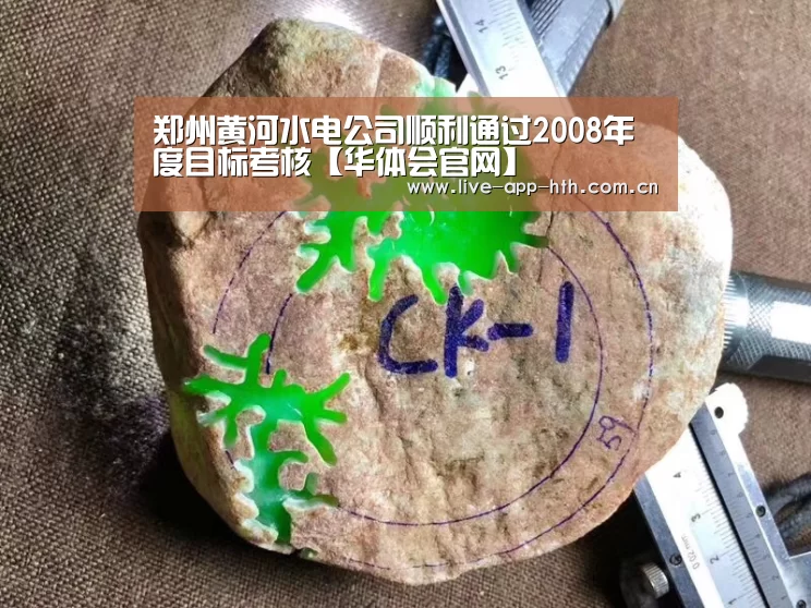 郑州黄河水电公司顺利通过2008年度目标考核【华体会官网】(图4) 华体会棋牌