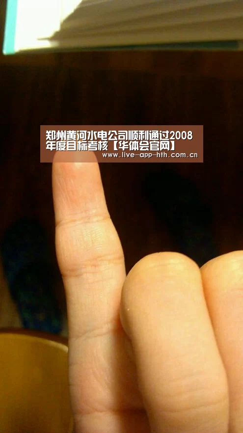 郑州黄河水电公司顺利通过2008年度目标考核【华体会官网】(图3) 华体会入口