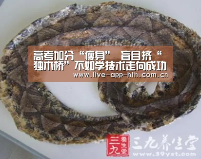 高考加分“瘦身” 盲目挤“独木桥”不如学技术走向成功捷径(图)-华体会官网